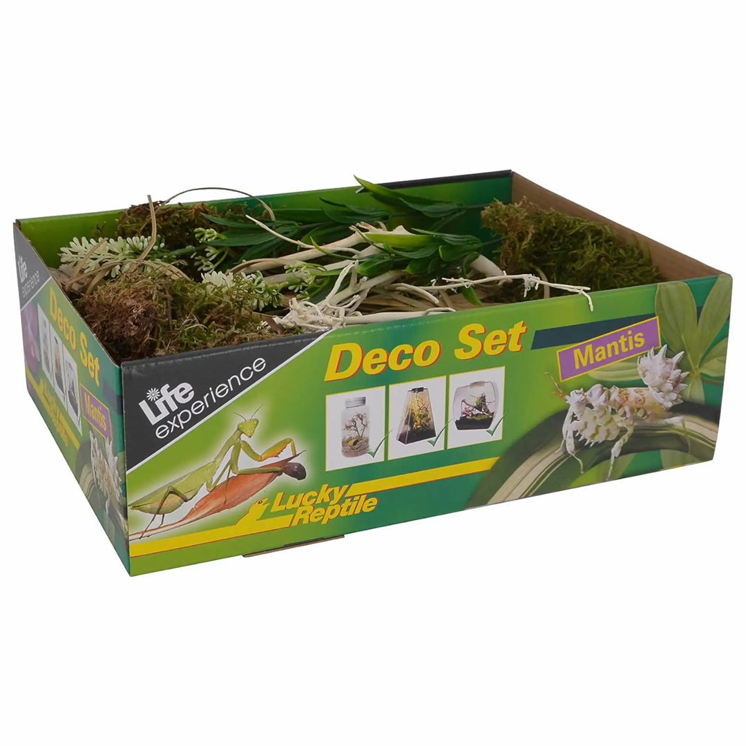 Lucky Reptile Life Experience Deco Set Mantis Decor