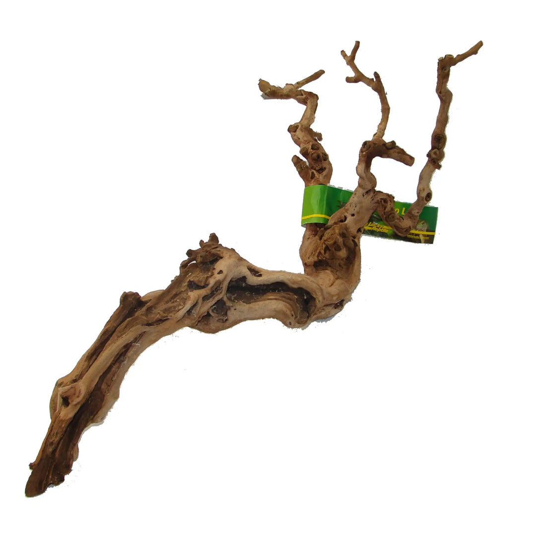 Lucky Reptile Premium Grapevine Medium Decor