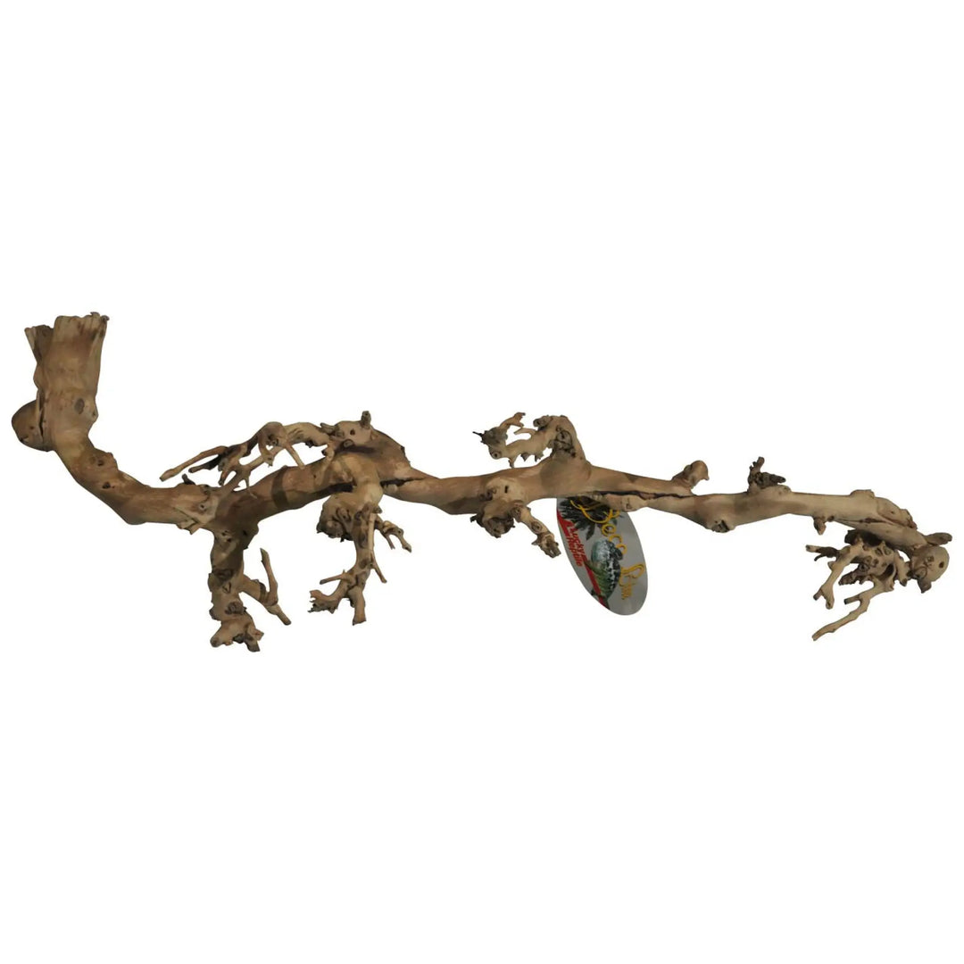 Lucky Reptile Sand-Blasted Grapevine Large Decor