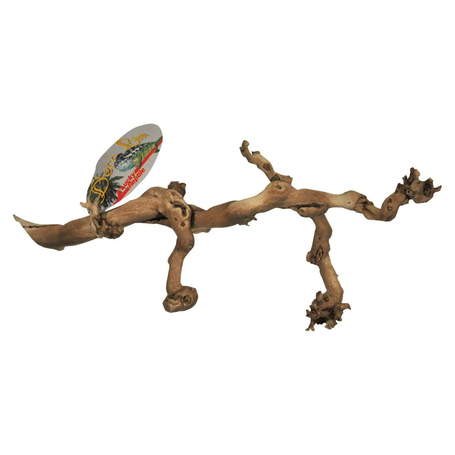 Lucky Reptile Sand-Blasted Grapevine Small Decor