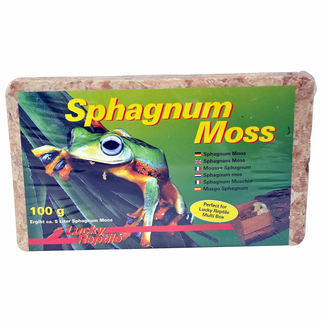 Lucky Reptile Spaghnum Moss Brick 100G Substrates