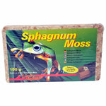 Lucky Reptile Spaghnum Moss brick 100g 