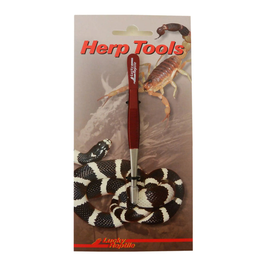 Lucky Reptile Straight Tweezers 14Cm Miscellaneous