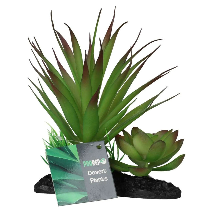 Prorep Articial Agave Plant On Log Decor