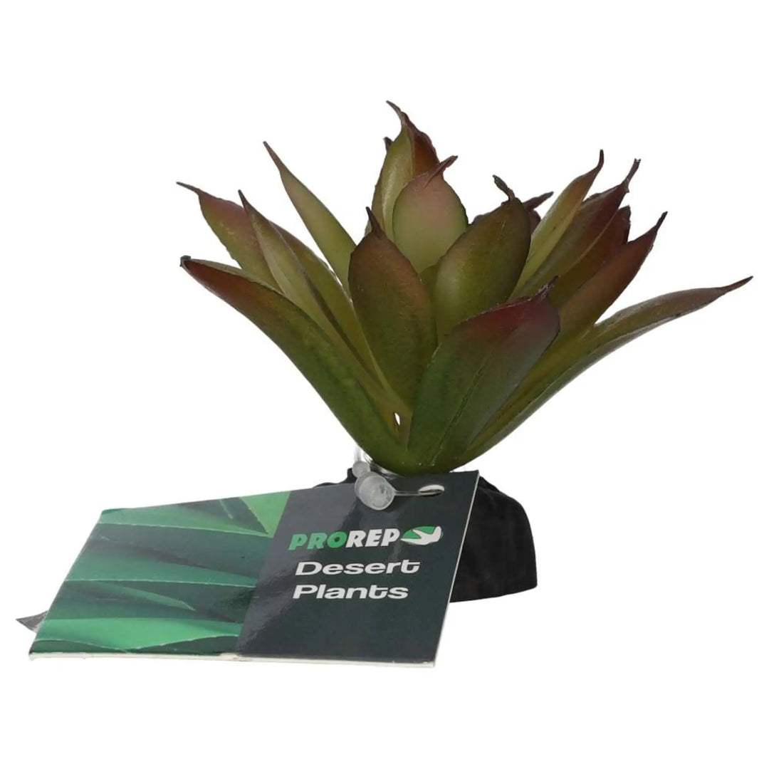 Prorep Artificial Aeonium Plant Decor