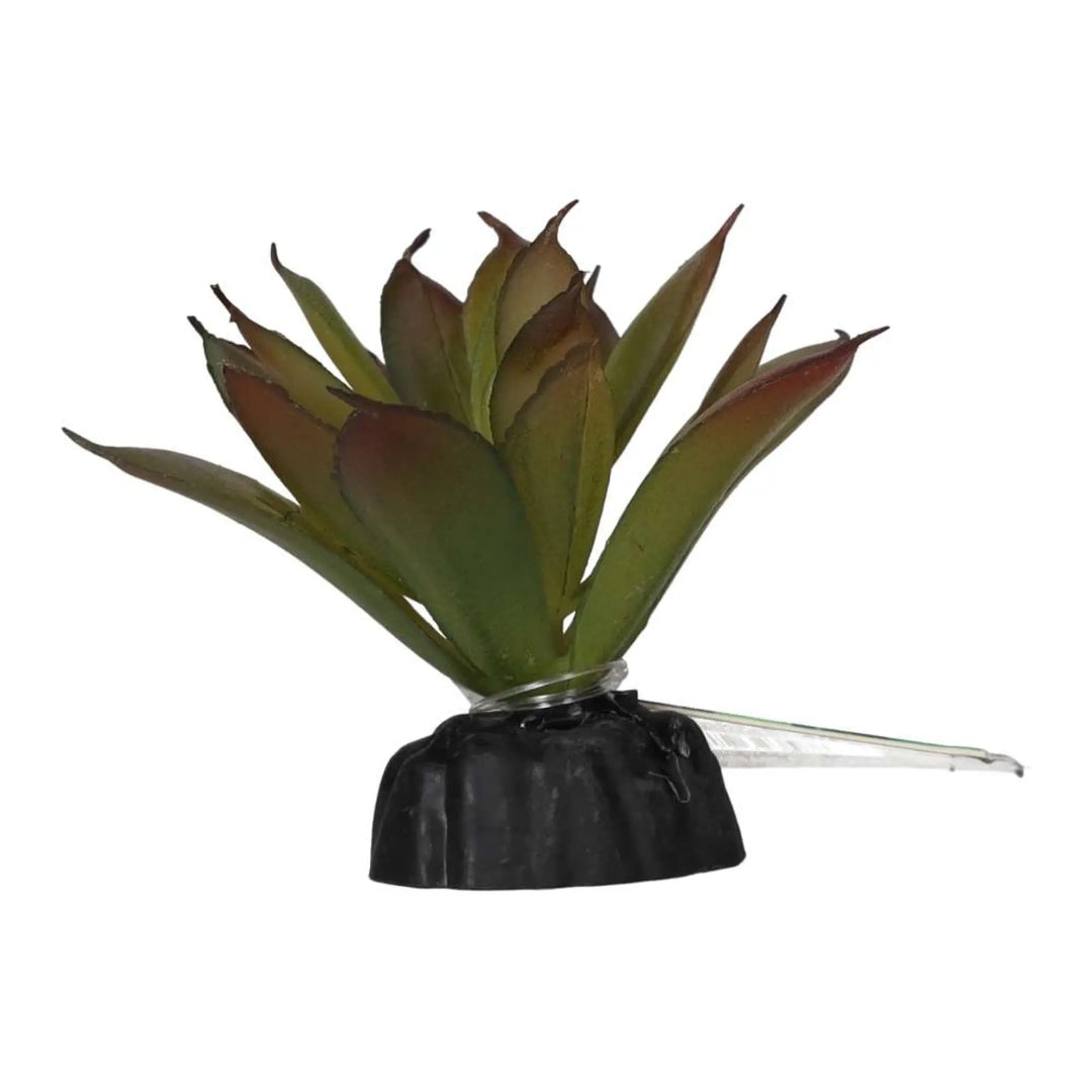 Prorep Artificial Aeonium Plant Decor