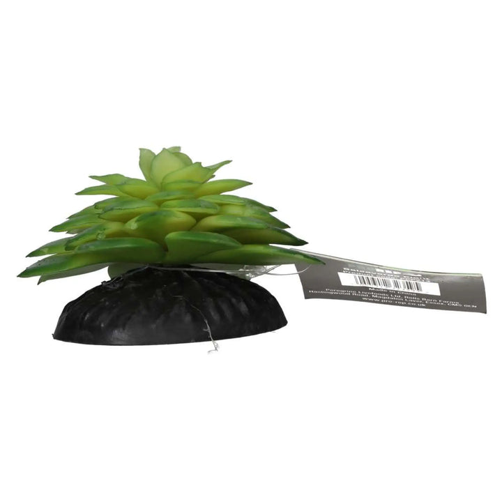 Prorep Artificial E Salsaverde Plant Decor