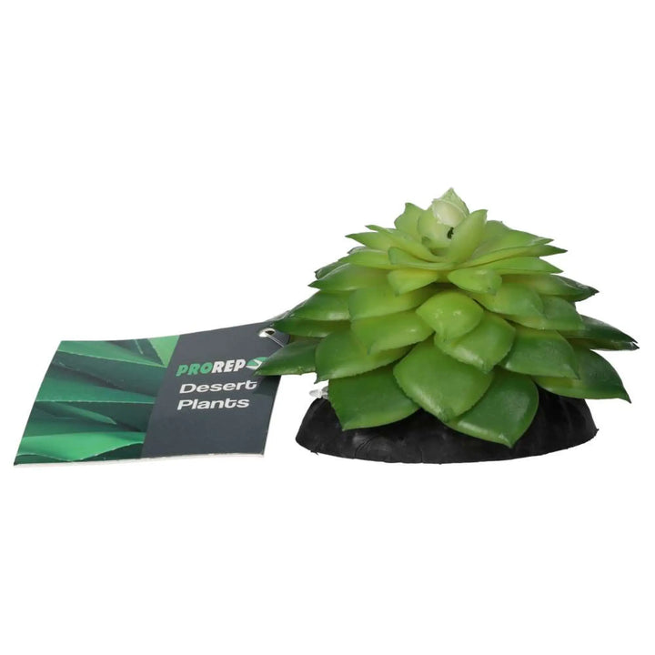 Prorep Artificial E Salsaverde Plant Decor