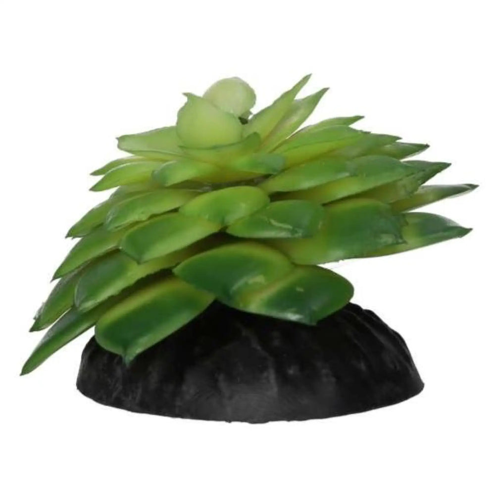 Prorep Artificial E Salsaverde Plant Decor