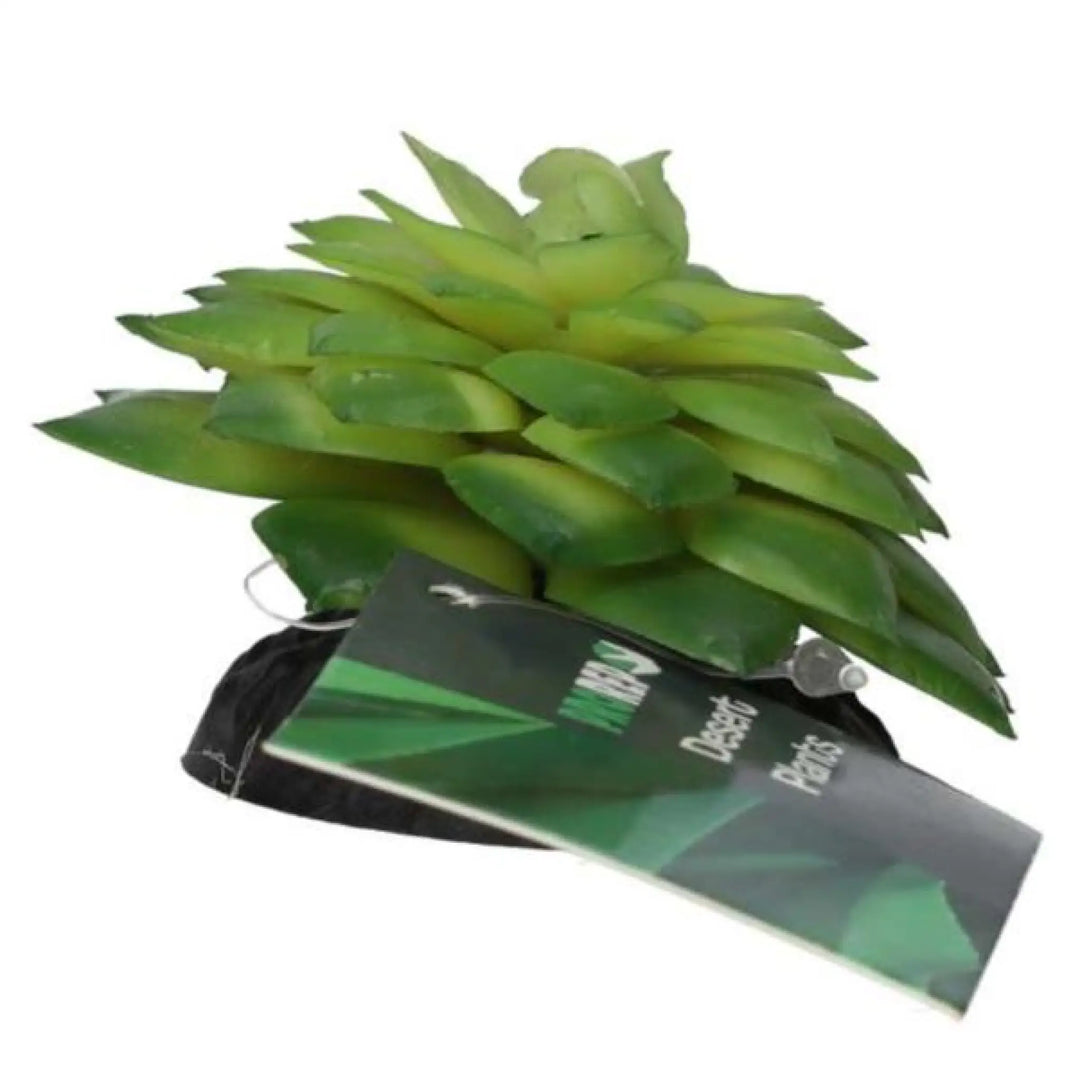 Prorep Artificial E Salsaverde Plant Decor