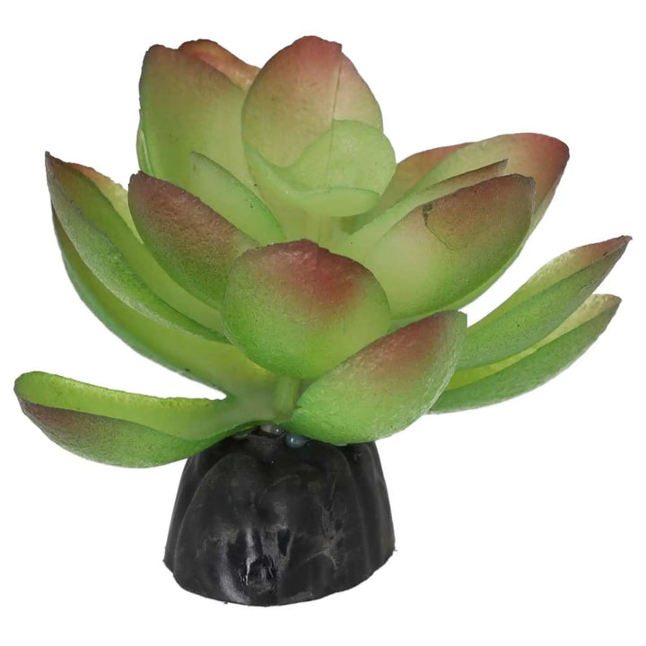 Prorep Artificial Echiveria Plant Decor