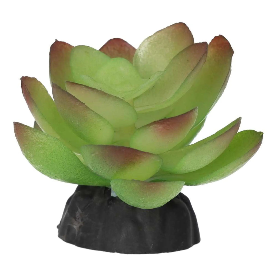 Prorep Artificial Echiveria Plant Decor