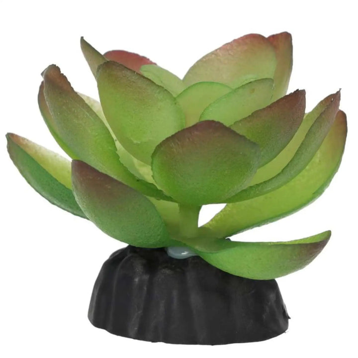 Prorep Artificial Echiveria Plant Decor