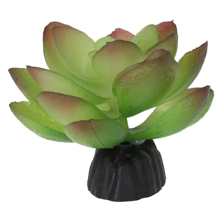 Prorep Artificial Echiveria Plant Decor