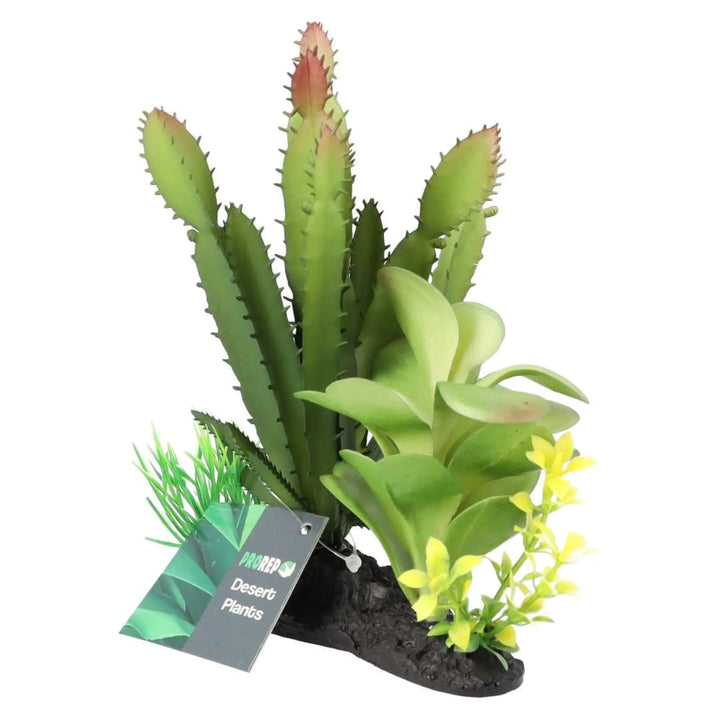 Prorep Artificial Euphorbia Plant On Log Decor