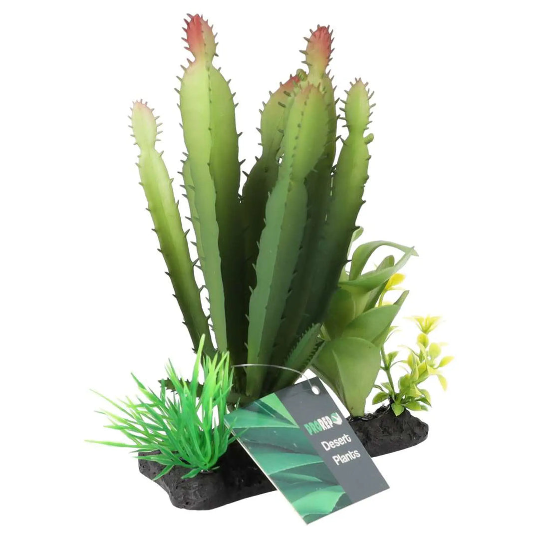 Prorep Artificial Euphorbia Plant On Log Decor