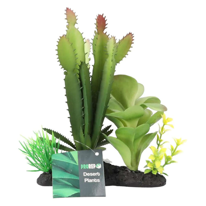 Prorep Artificial Euphorbia Plant On Log Decor