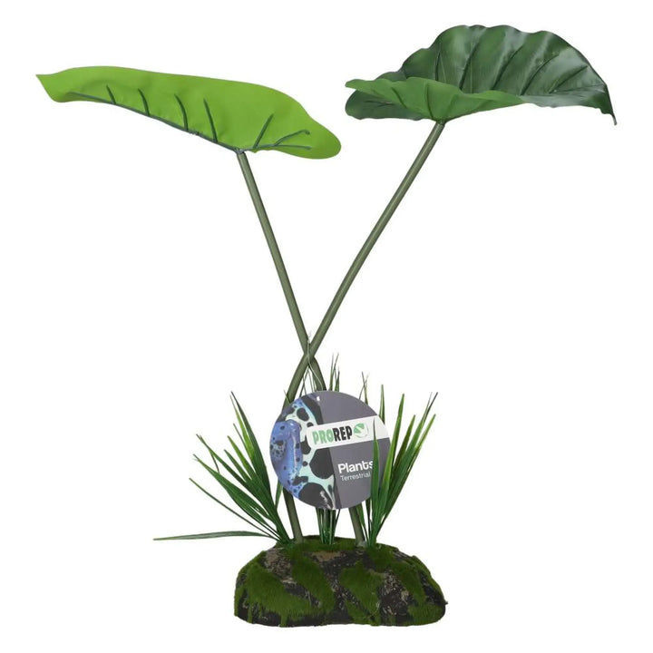 Prorep Artificial Philodendron Appendiculatum Plant Decor