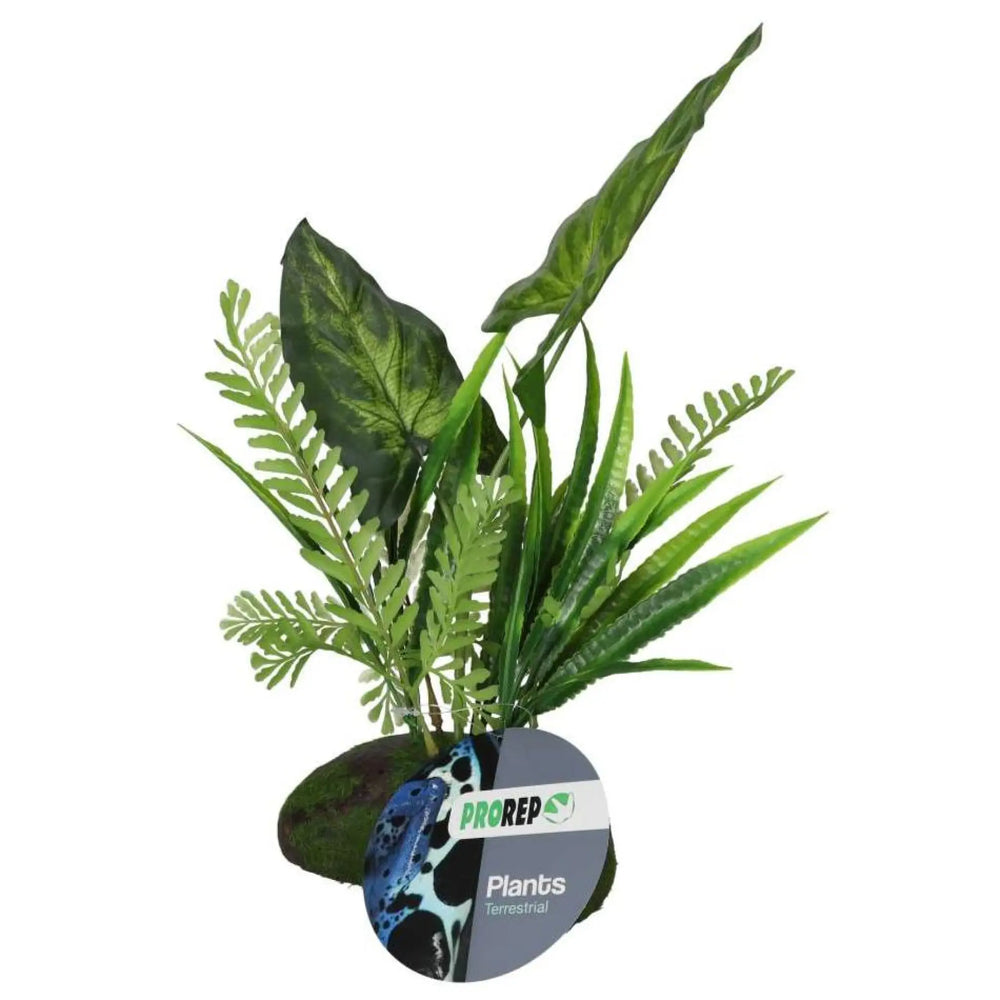 Prorep Artificial Philodendron Gigas Plant Decor