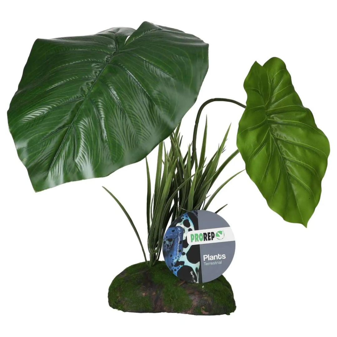 Prorep Artificial Philodendron Maximum Plant Decor