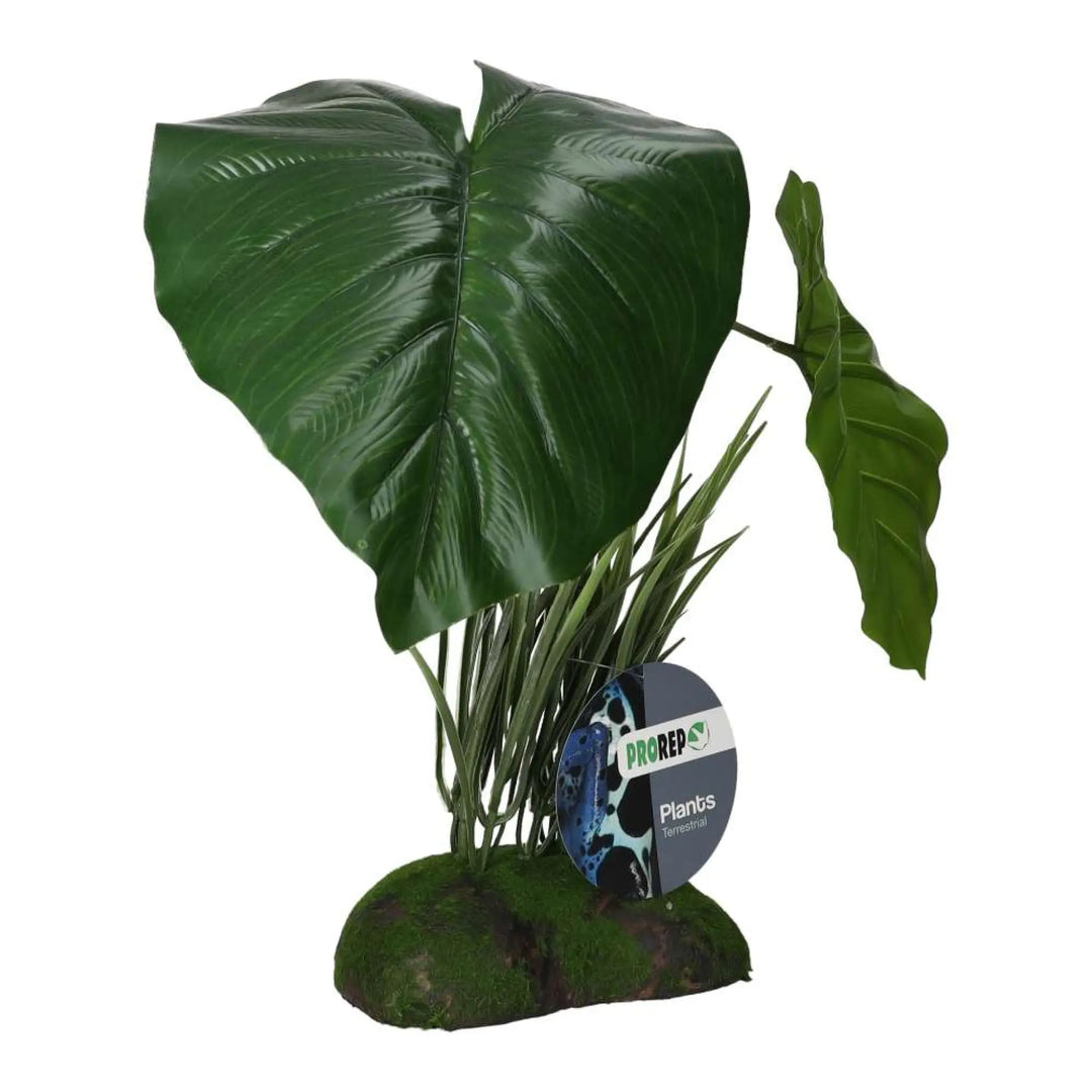 Prorep Artificial Philodendron Maximum Plant Decor