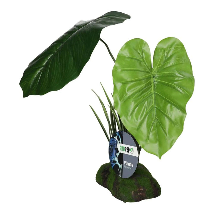 Prorep Artificial Philodendron Maximum Plant Decor