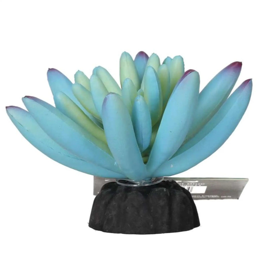 Prorep Artificial Sedum Plant Blue Decor