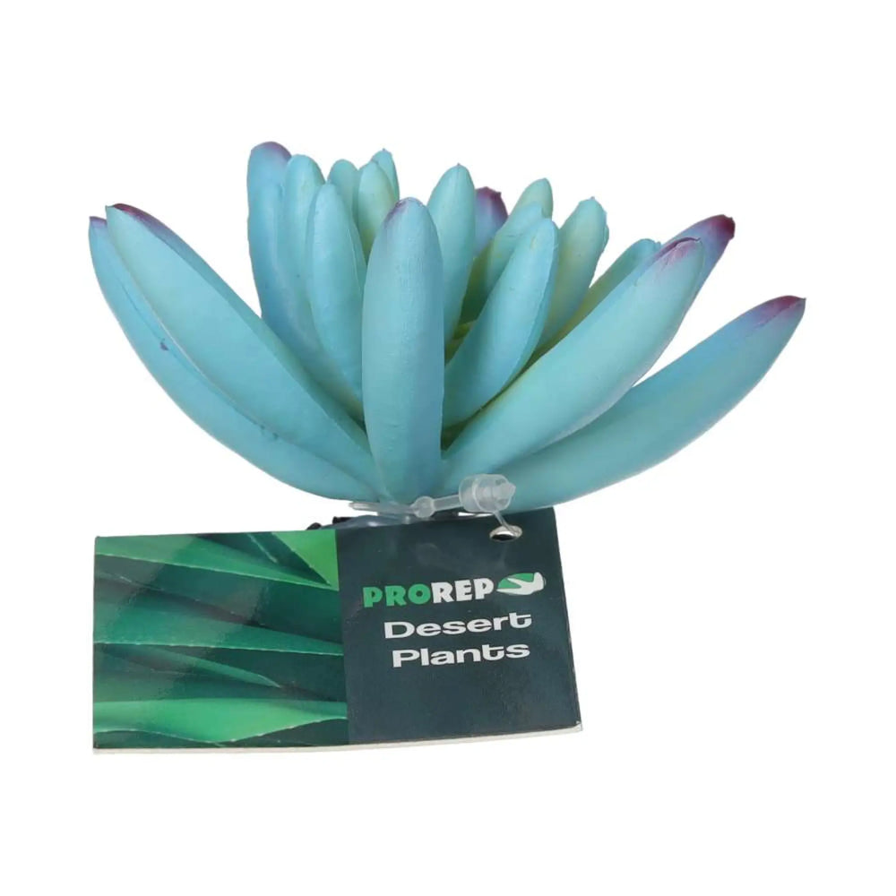 Prorep Artificial Sedum Plant Blue Decor