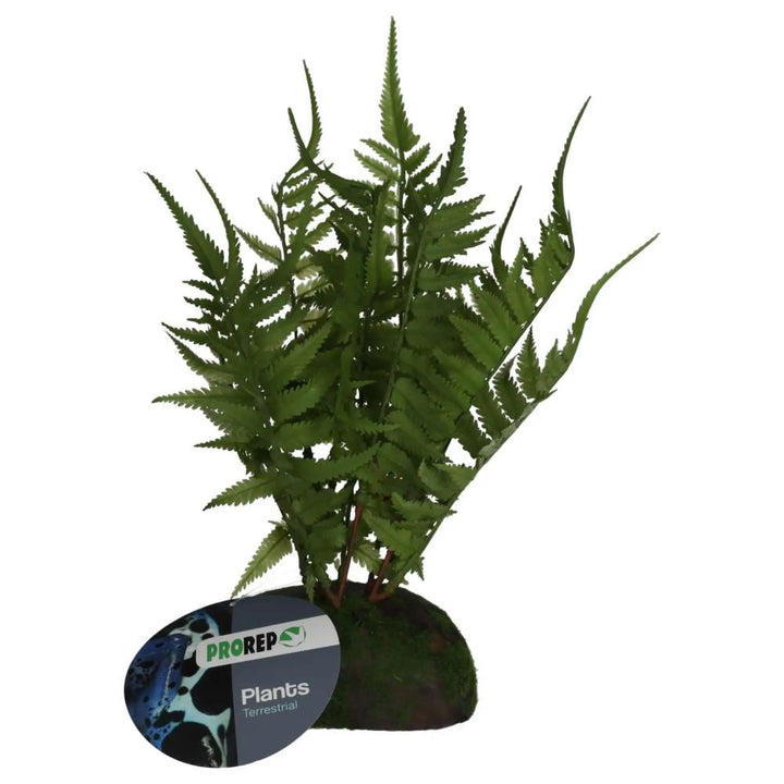 Prorep Artificial Tropical Fern Plant Decor