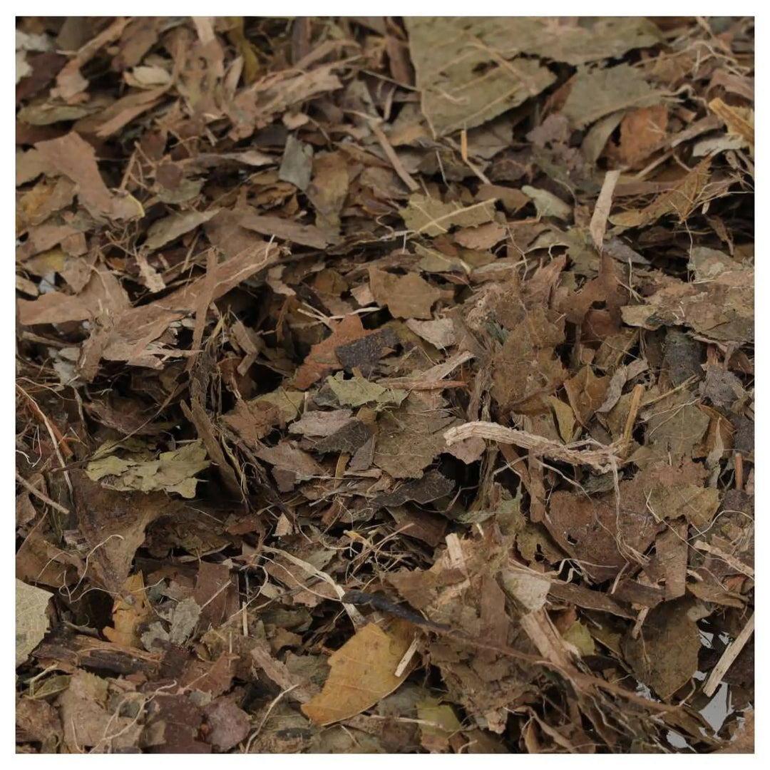 ProRep Leaf Litter Brick closeup