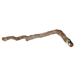 ProRep Cork Oak Branch  - 40-60cm 