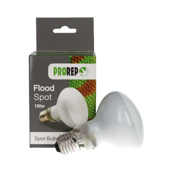 Prorep Flood Lamp Heating