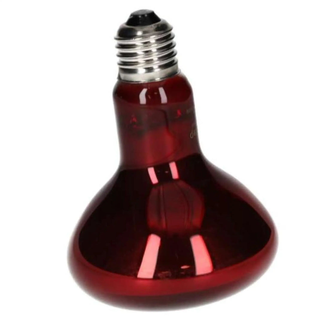 Prorep Infrared Spot Bulb Heating