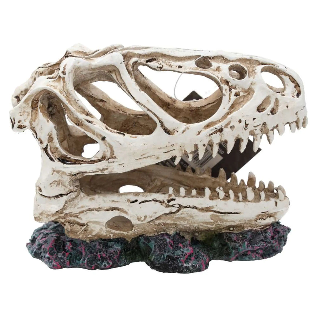 Prorep Resin Allosaurus Skull Decor