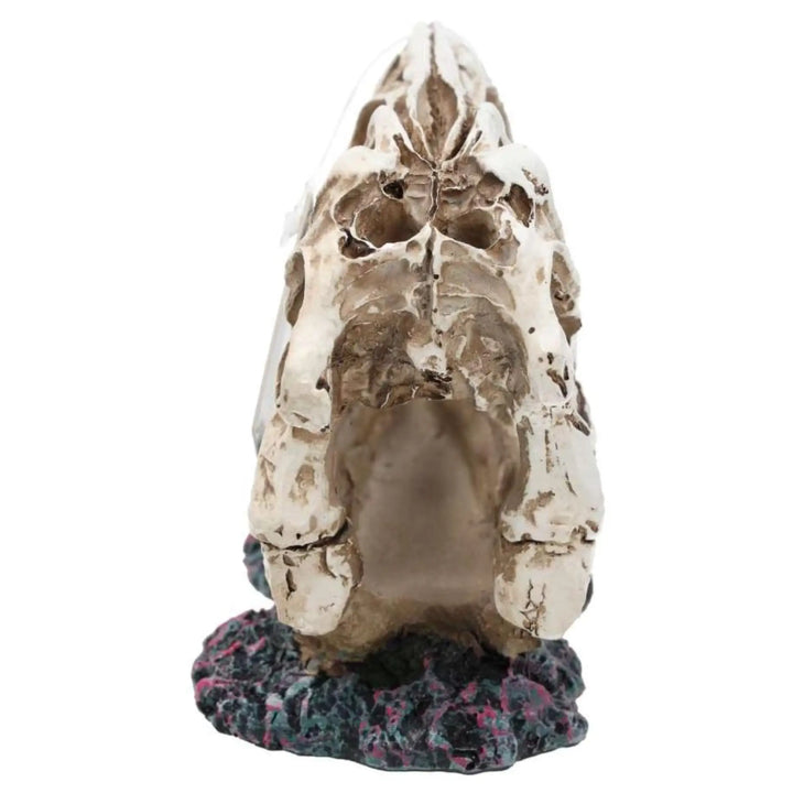 Prorep Resin Allosaurus Skull Decor