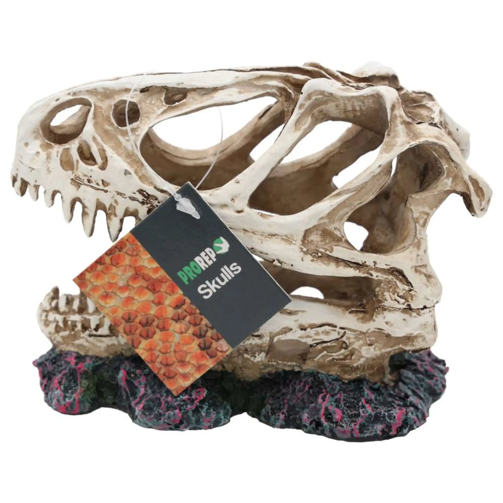 Prorep Resin Allosaurus Skull Decor