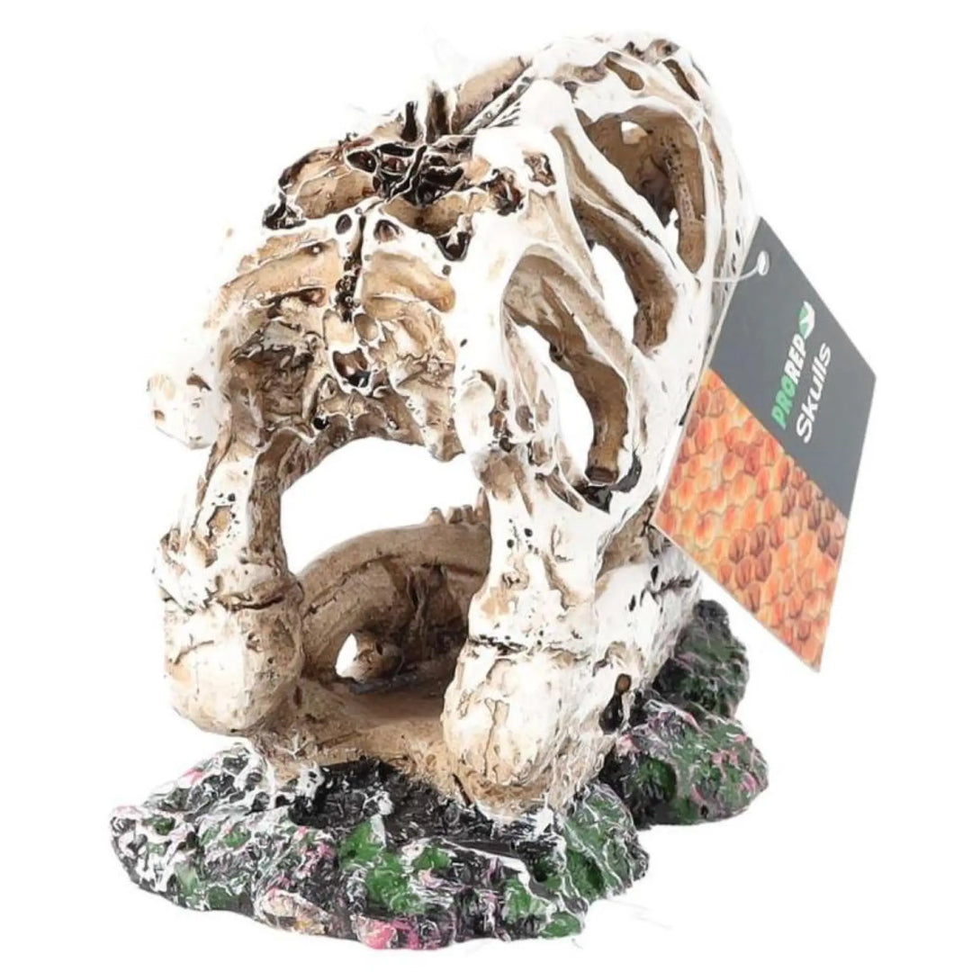 Prorep Resin Allosaurus Skull Decor