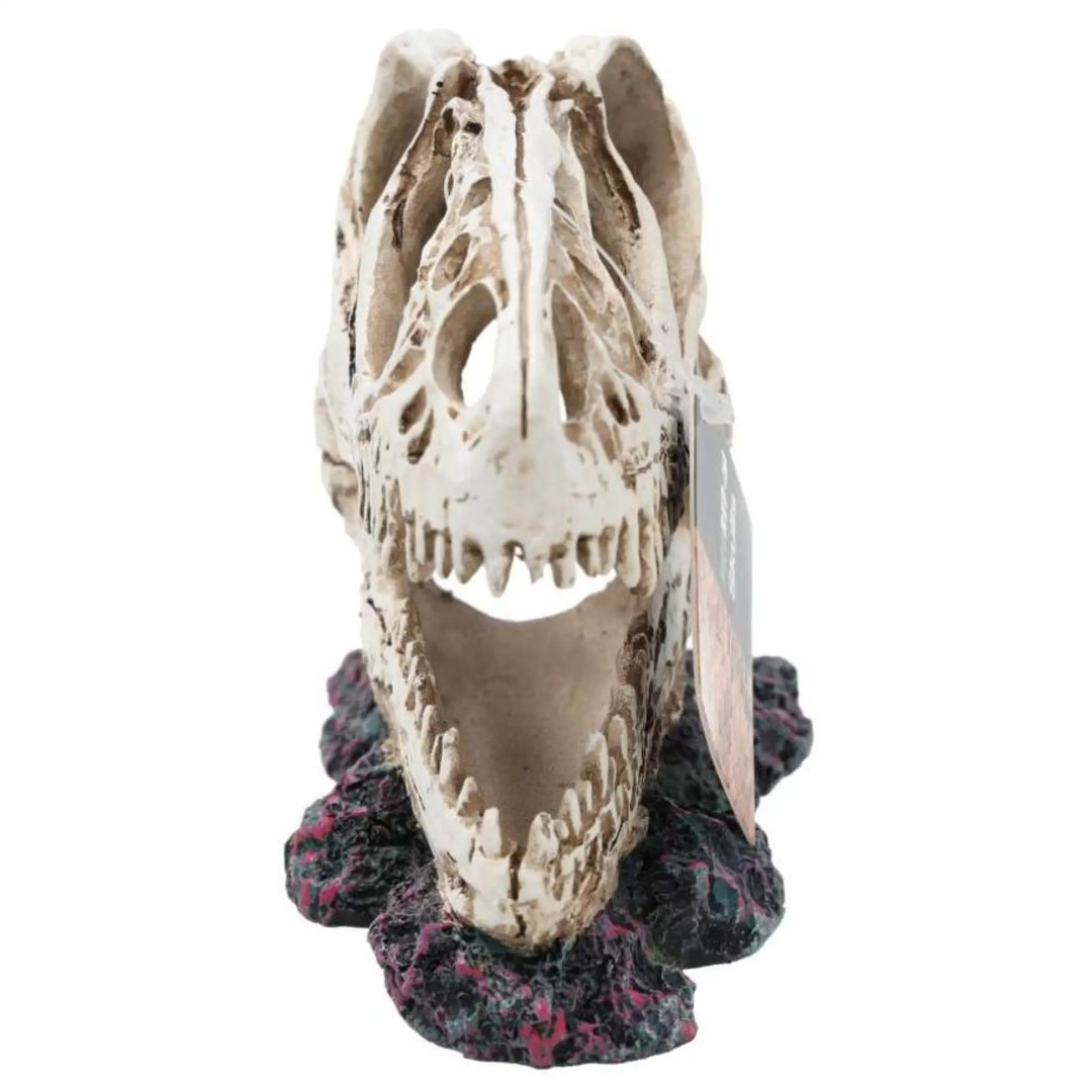 Prorep Resin Allosaurus Skull Decor