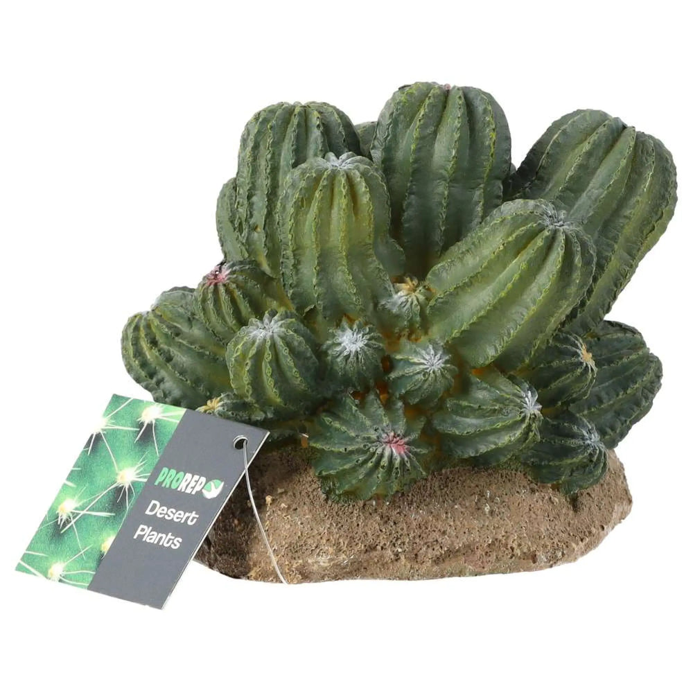 Prorep Resin Cactus Cluster Decor