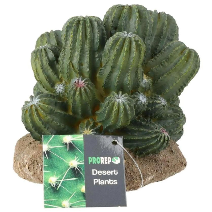 Prorep Resin Cactus Cluster Decor