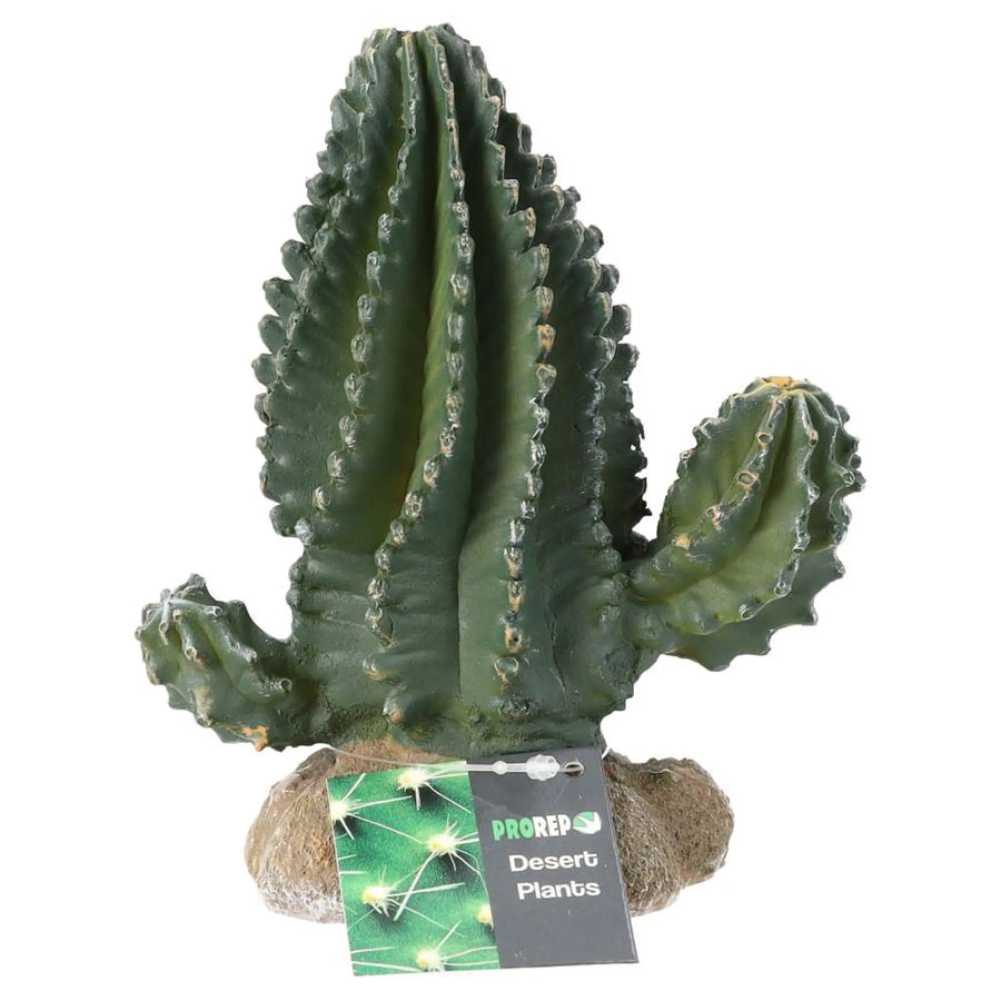 Prorep Resin Cactus Decor