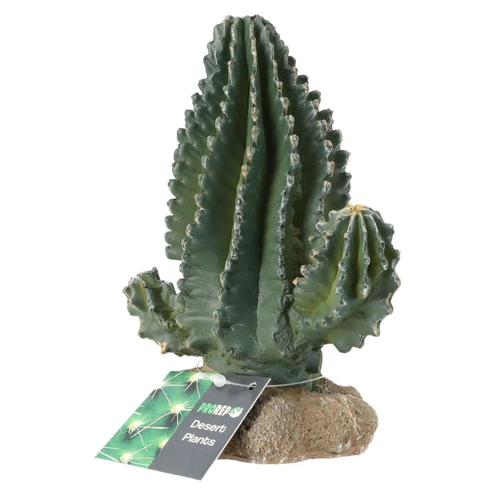 Prorep Resin Cactus Decor