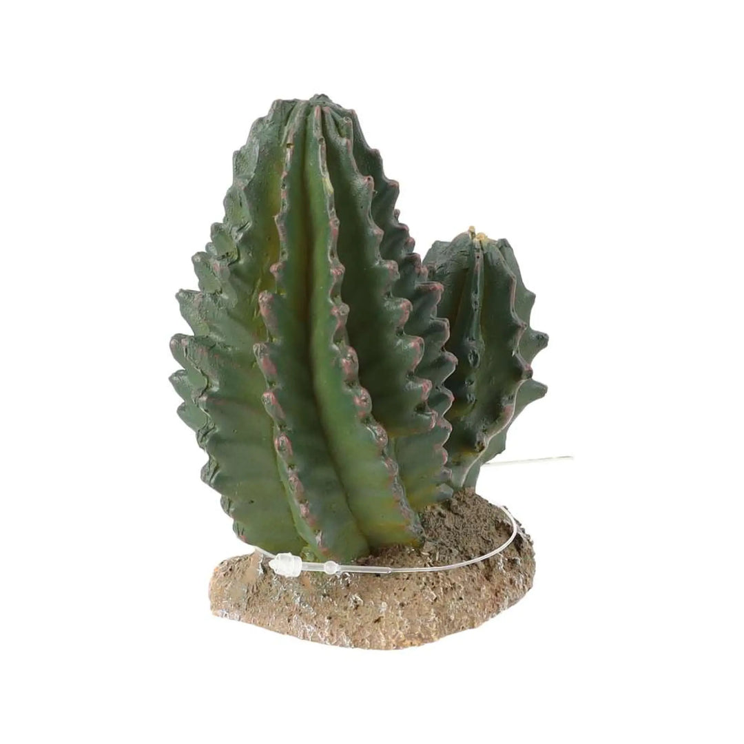 Prorep Resin Cactus Group Decor