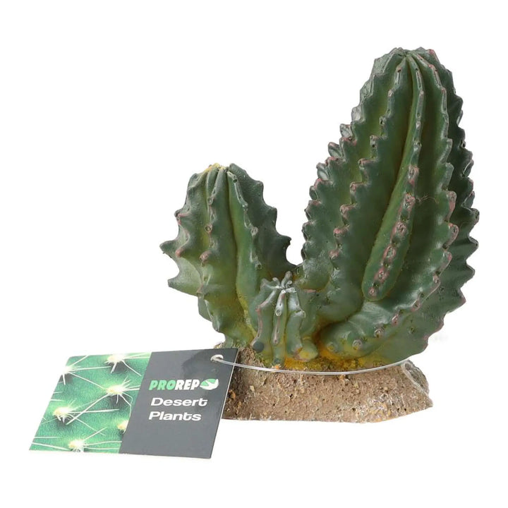 Prorep Resin Cactus Group Decor