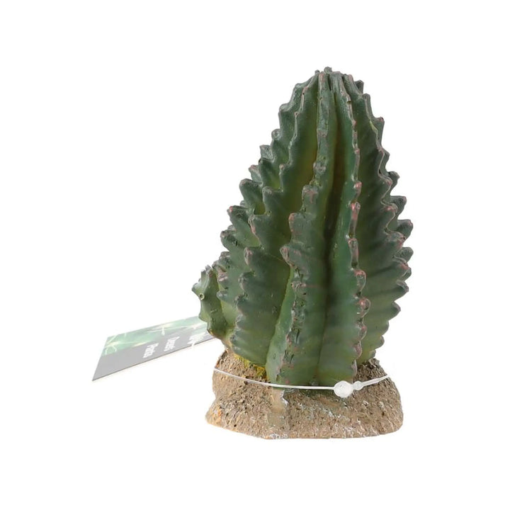 Prorep Resin Cactus Group Decor