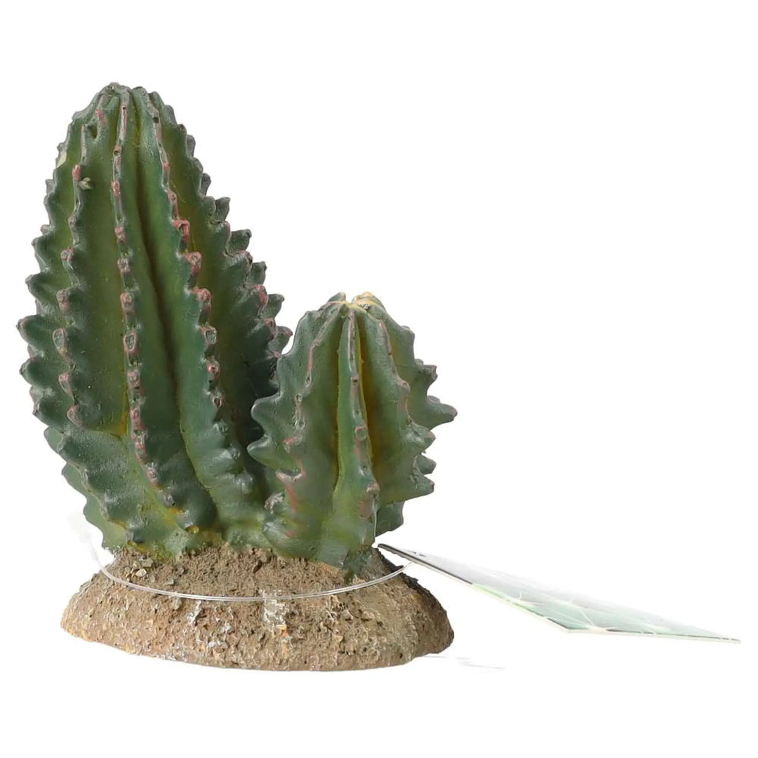 Prorep Resin Cactus Group Decor