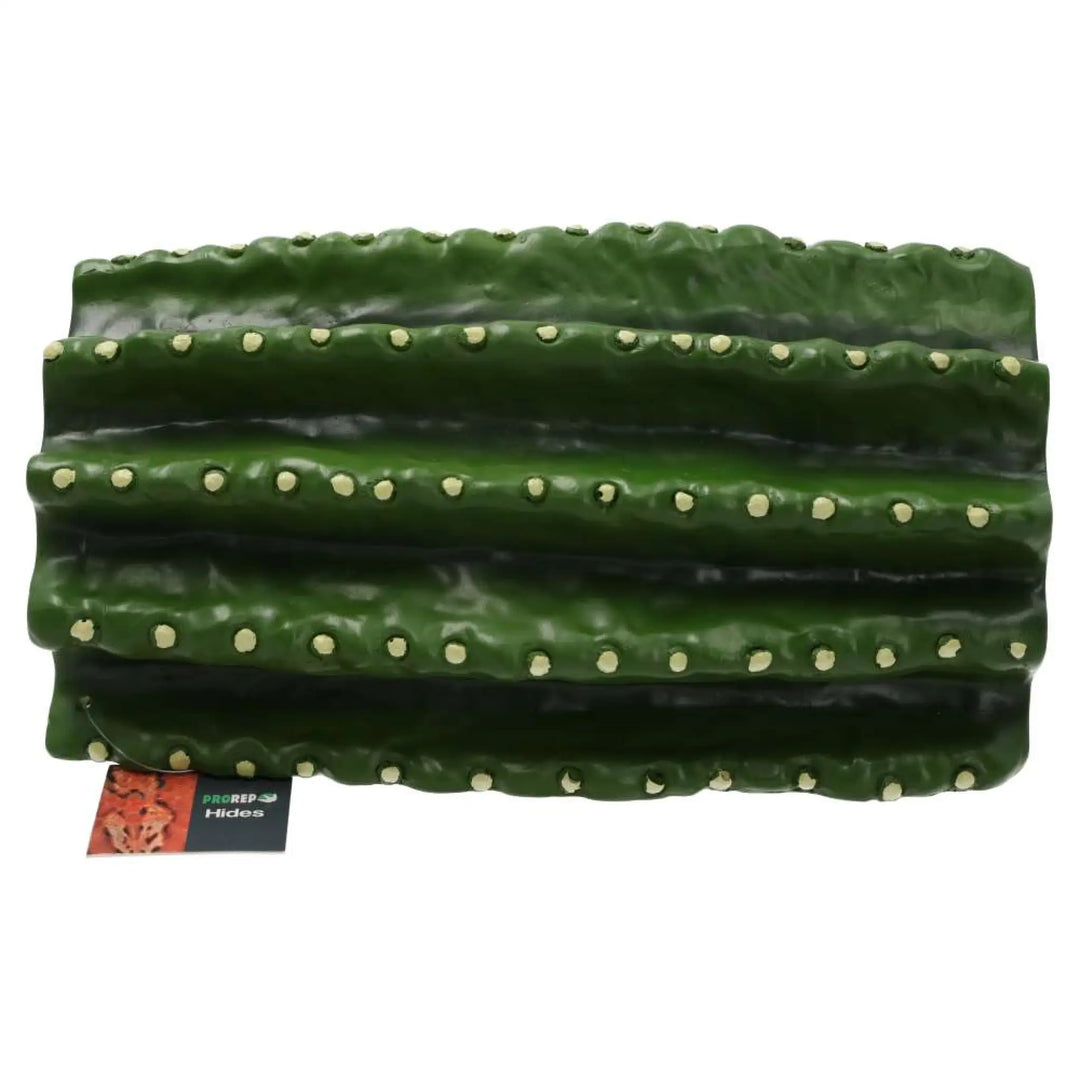 Prorep Resin Cactus Hide Decor