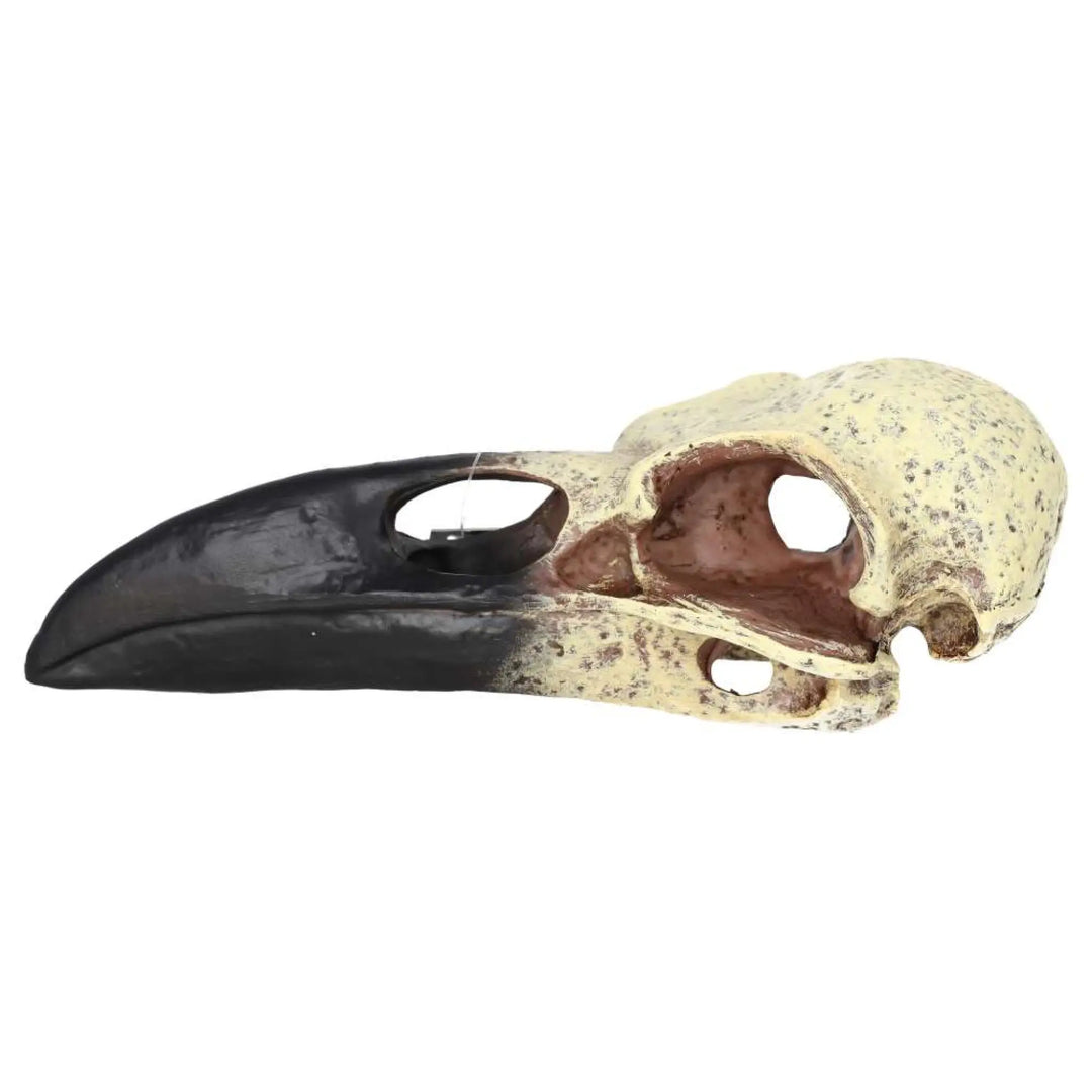 Prorep Resin Corvid Skull Decor