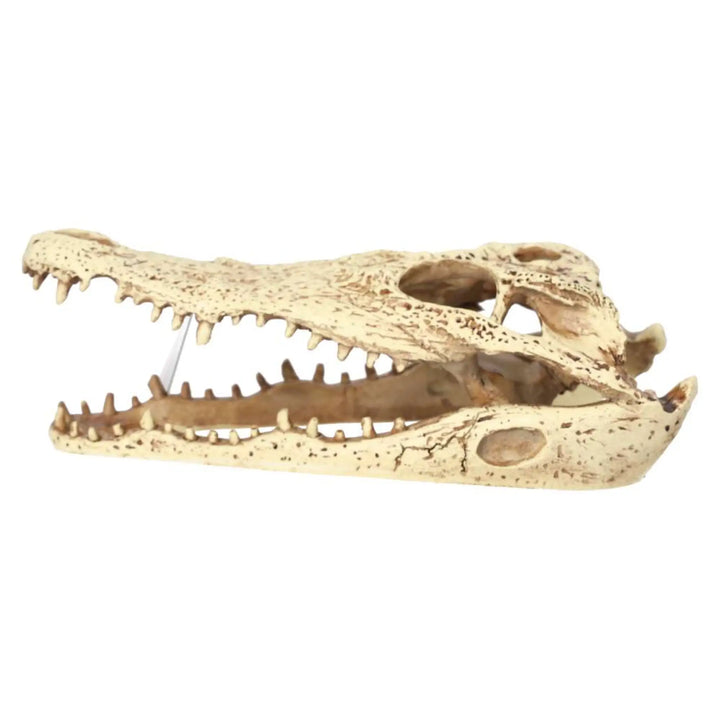 Prorep Resin Crocodile Skull Decor