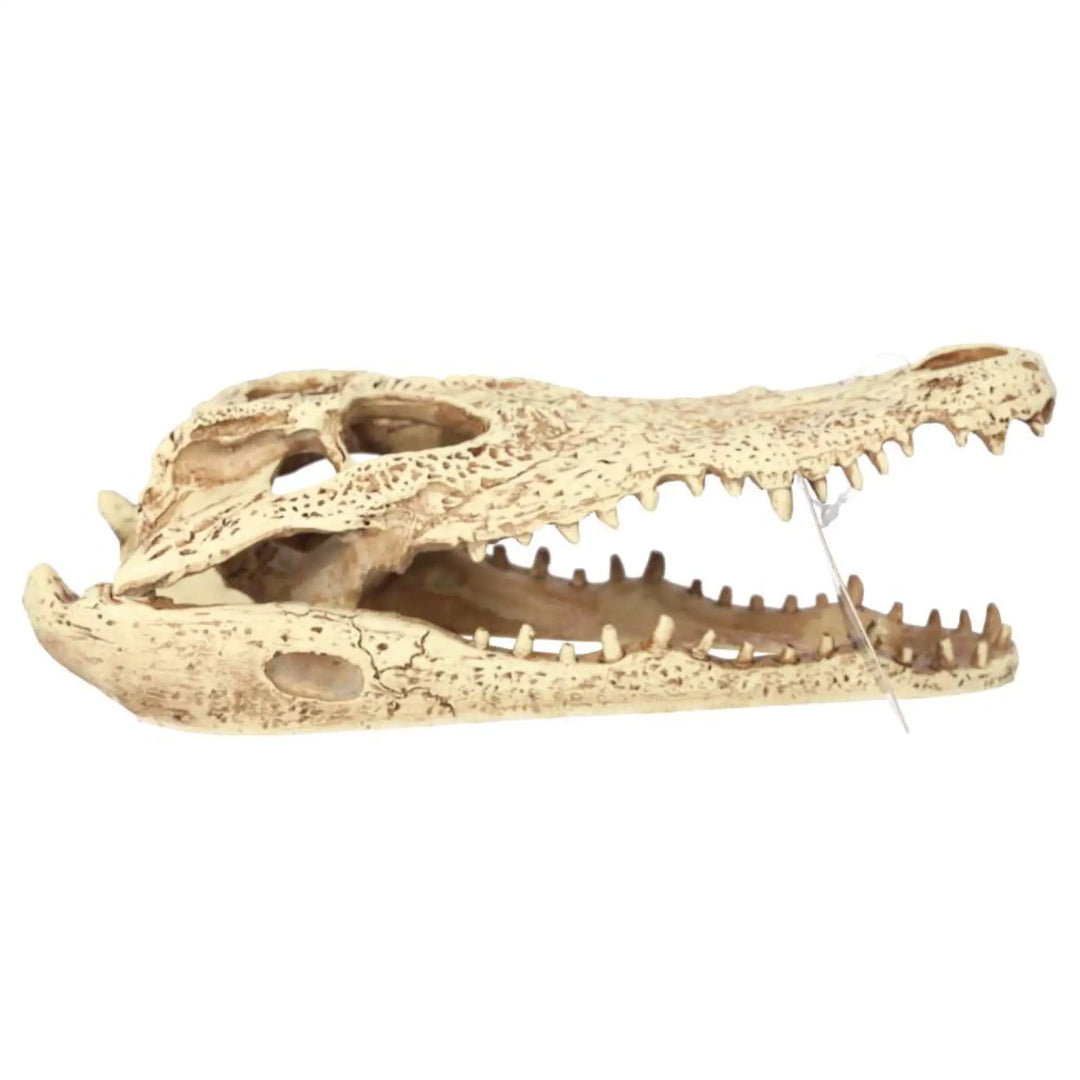 Prorep Resin Crocodile Skull Decor